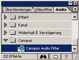 Canopus DVRaptorRT : Audio
