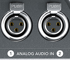 Zweifach Mini-XLR-Ins beim Video Assist 4k mit guten internen Preamps