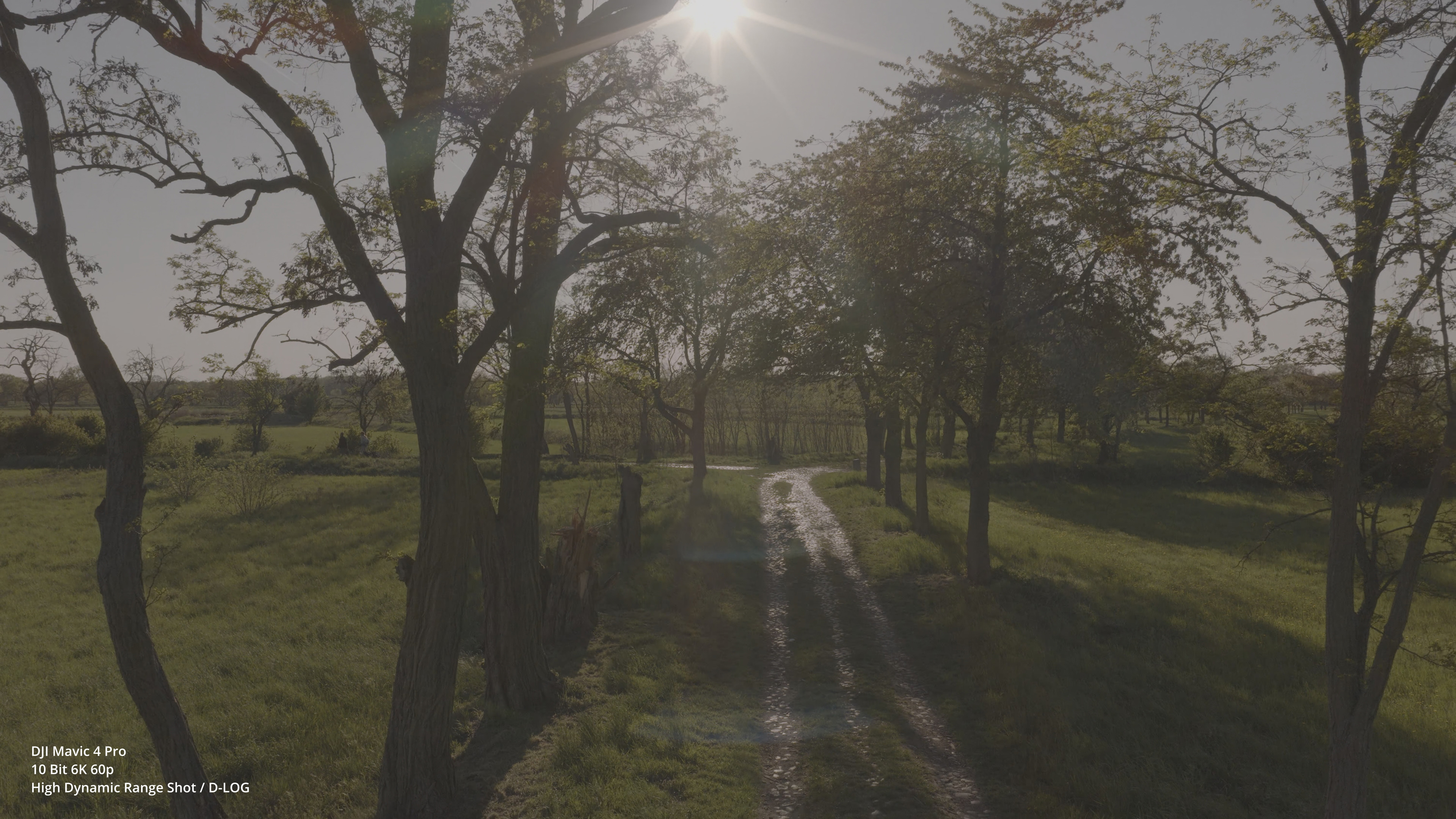 6K-Drohne für Pros DJI Mavic 4 Pro in der Praxis: 10Bit 6K 50p Log, 360° Gimbal – für wen lohnt sich die C2 Drohne? : Mavic4ProDynamicRange