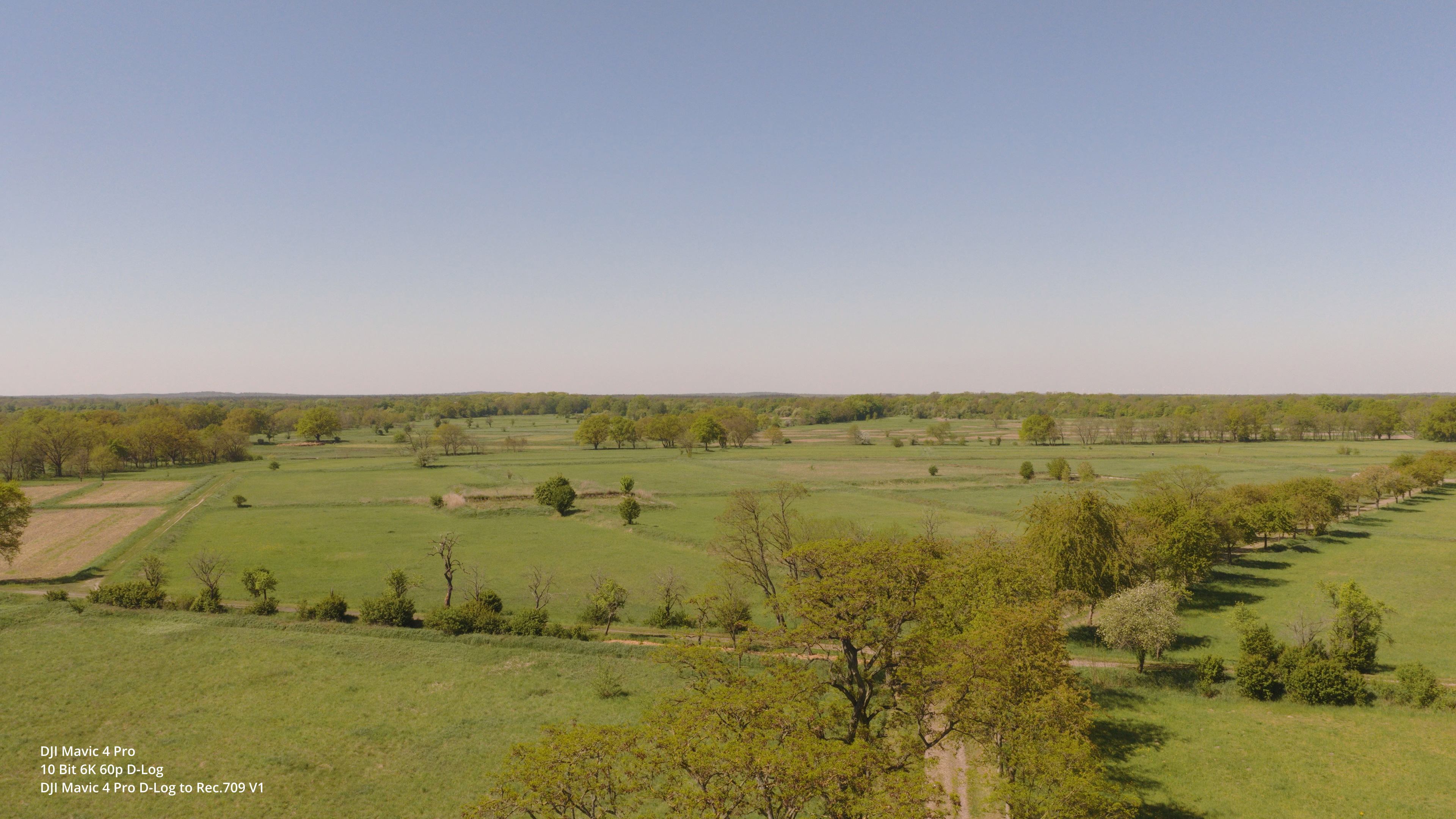 etwas schrille Grüntöne bei Nutzung der offiziellen DJI Mavic 4 Pro 709 LUT