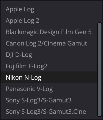 Viele Log-Conversion Optionen im RAW-Modul von Resolve