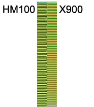 Chroma-Sweep JVC HM100 vs. X900, Abbildung 1 zu 1.