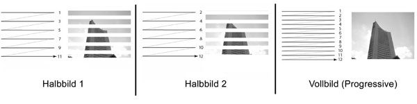 Basiswissen Videoproduktion Halbbilder