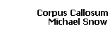 Corpus Callosum 
 Michael Snow