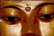 Holly Fisher: kalama sutta: seeing is believing